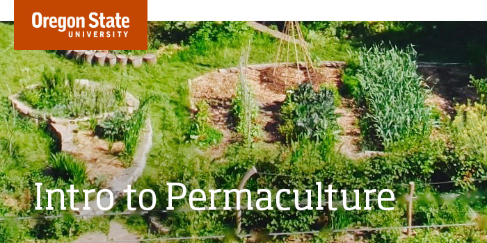 Intro to Permaculture - Free OSU Permaculture Course | Open Oregon State | Online Educational ...